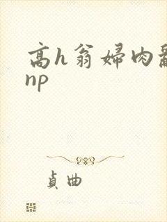 高h翁妇肉乱文np封面