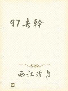 97去干封面