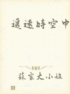 遥远时空中4封面