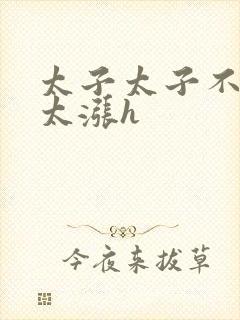 太子太子不要了太涨h封面