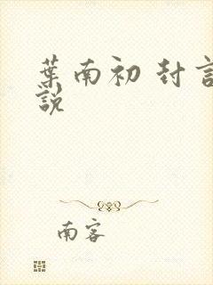 叶南初 封言小说
