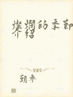 灿烂的季节剧情介绍封面