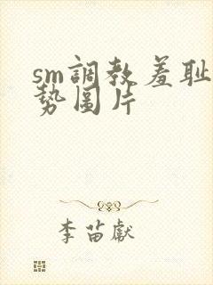 sm调教羞耻姿势图片