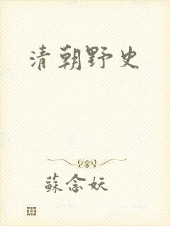 清朝野史封面
