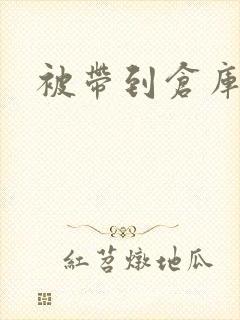 被带到仓库糟蹋封面