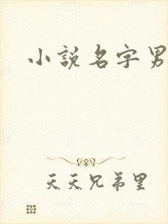 小说名字男生封面