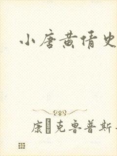 小唐黄倩史