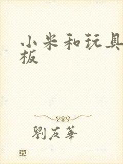 小米和玩具店老板