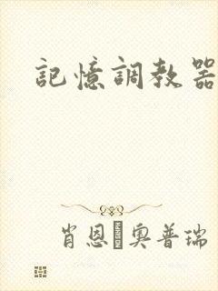记忆调教器封面