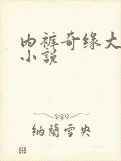 内裤奇缘大团结小说