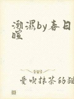 潮湿by春日负暄封面