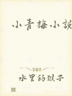 小青梅小说封面