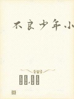 不良少年小说