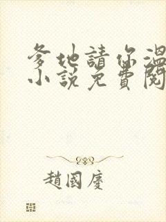 爹地请你温柔点小说免费阅读封面