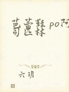 芭蕾鞋 po阿司匹林封面