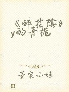 《醉花阴》 by酌青栀