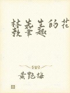 林先生的花式管教笔趣