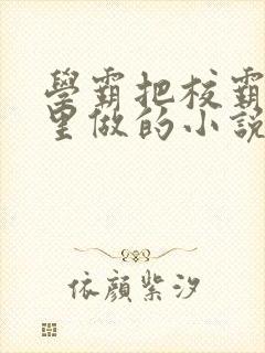 学霸把校霸往死里做的小说