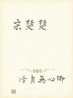 宋楚楚