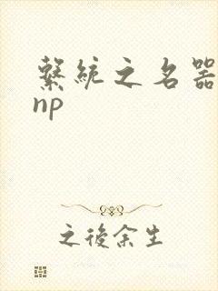 系统之名器攻略np