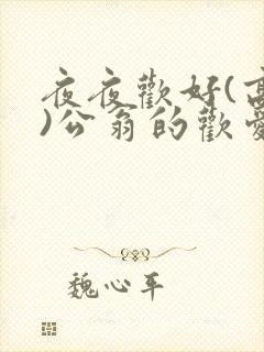 夜夜欢好(高h)公翁的欢爱封面