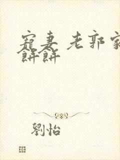 宠妻 老郭家的饼饼