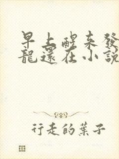 早上醒来发现巨龙还在小说封面