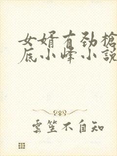 女婿有劲枪枪到底小峰小说