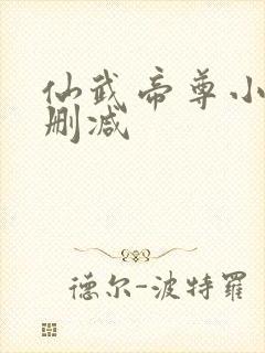 仙武帝尊小说无删减封面