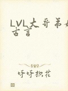 LVL大哥弟媳古言