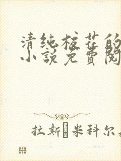 清纯校花的秘密小说免费阅读