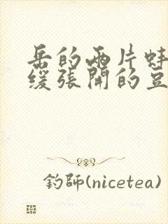 岳的两片蚌肉缓缓张开的豆瓣评分