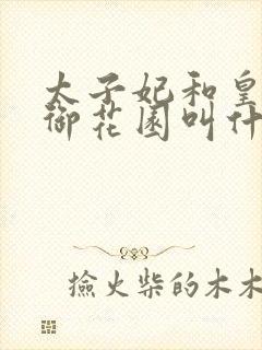 太子妃和皇帝在御花园叫什么小说