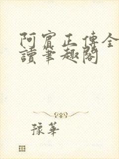 阿宾正传全文阅读笔趣阁