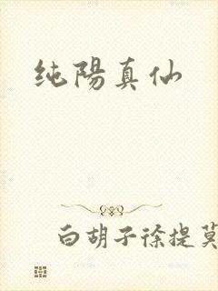 纯阳真仙