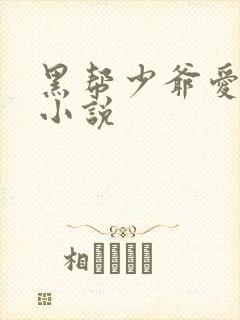 黑帮少爷爱上我小说