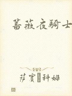 蔷薇夜骑士