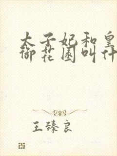 太子妃和皇帝在御花园叫什么小说