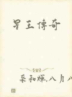 星王传奇
