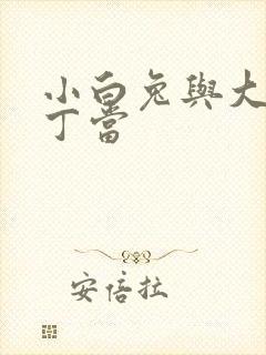 小白兔与大灰狼丁当