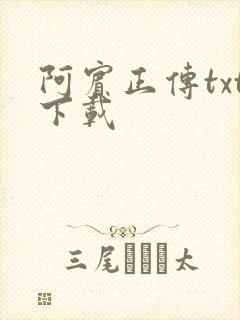 阿宾正传txt下载