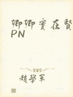 卿卿实在贤良NPN