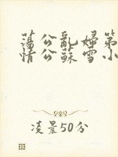 荡公乱妇第1章情公苏雪小说