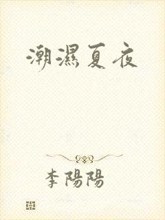 潮湿夏夜封面