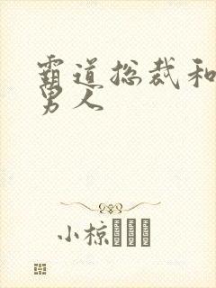 霸道总裁和他的男人