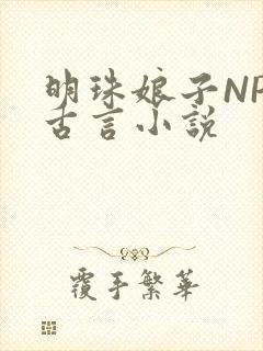 明珠娘子NPC古言小说