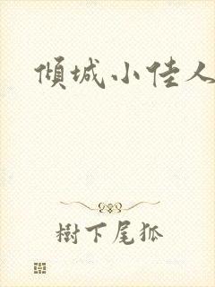 倾城小佳人封面