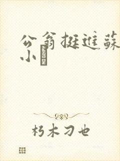 公翁挺进苏玥的小泬