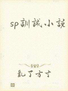 sp训诫小说