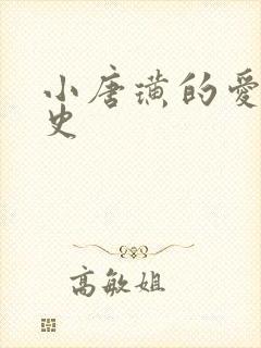 小唐璜的爱情历史封面